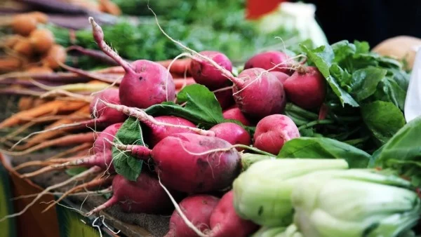 Soul and Soil Based Living Course