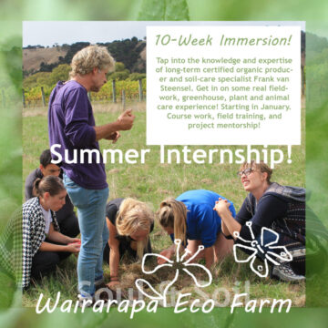 summer internship mini add