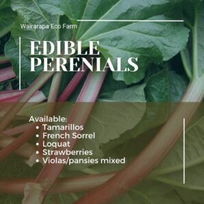 Edible Perennial