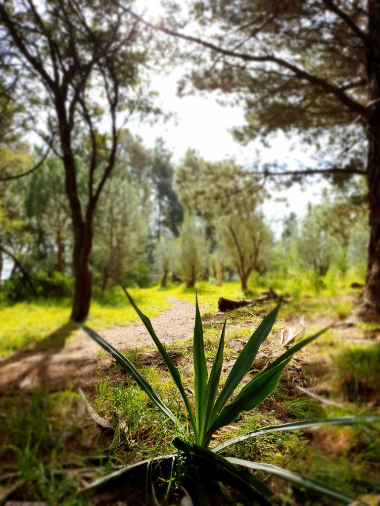 Camping