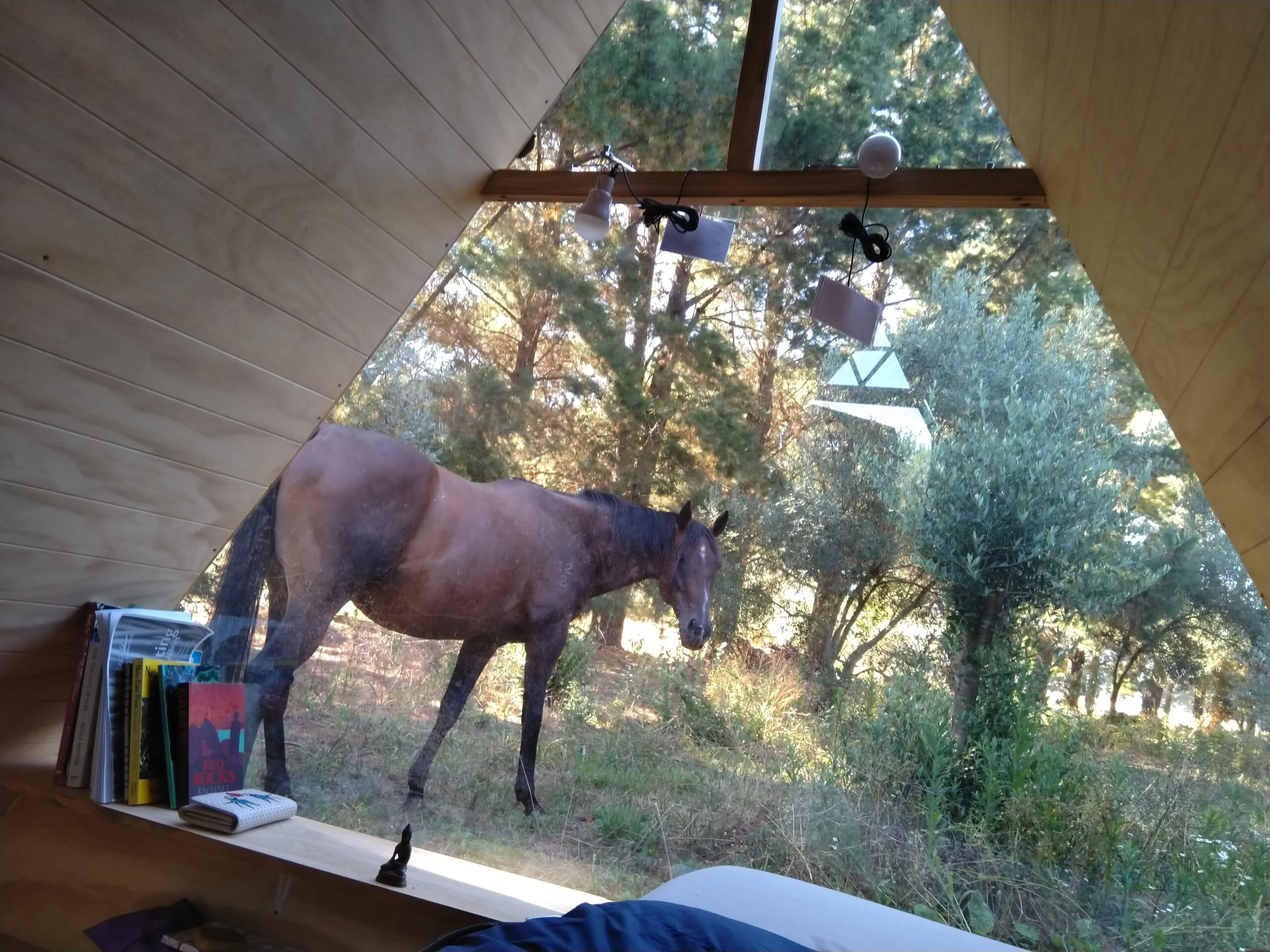 Camping