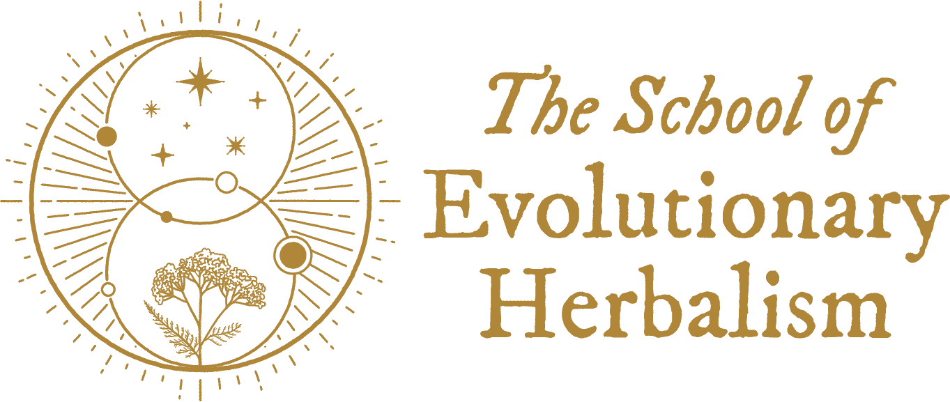 Alchemical Herbalist Yoni Steaming