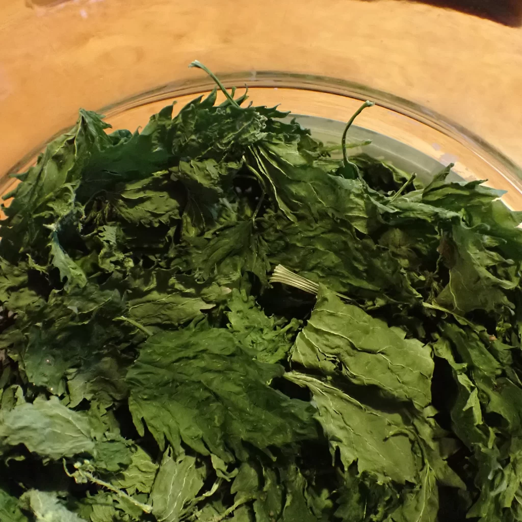 Alchemical Herbalist Yoni Steaming