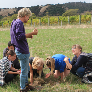 Soils with Frank