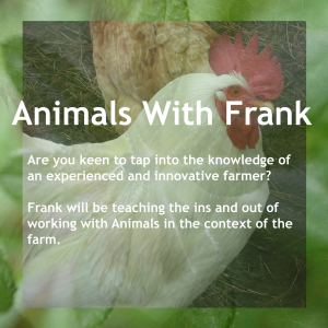 Animals With Frank