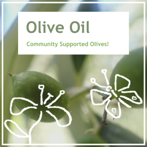 Olive Oil (CSO)