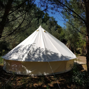 Farm Camping